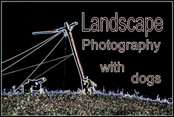 image for Landscape Photography With Dogs